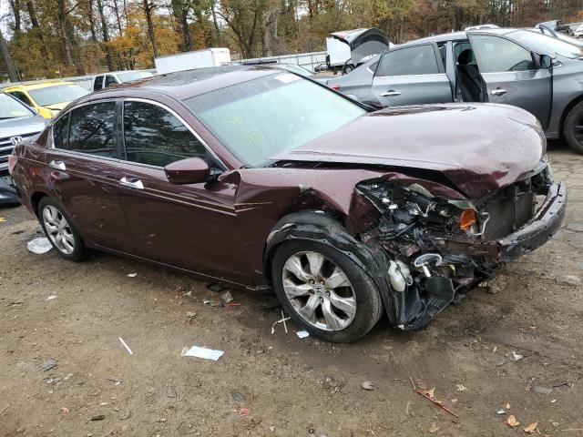 5KBCP3F83AB012848 - 2010 HONDA ACCORD EXL BURGUNDY photo 4