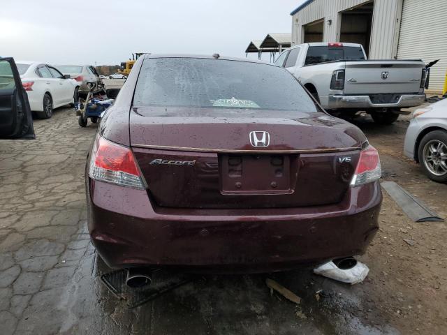 5KBCP3F83AB012848 - 2010 HONDA ACCORD EXL BURGUNDY photo 6