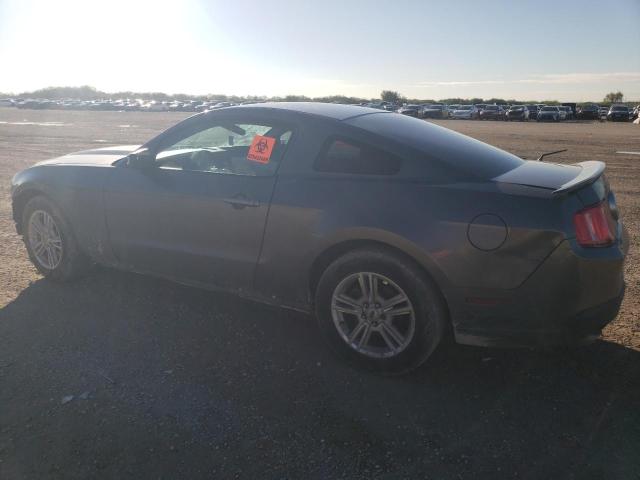 1ZVBP8AM3B5131348 - 2011 FORD MUSTANG CHARCOAL photo 2