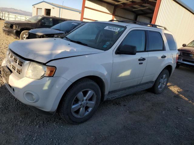 2009 FORD ESCAPE XLT, 