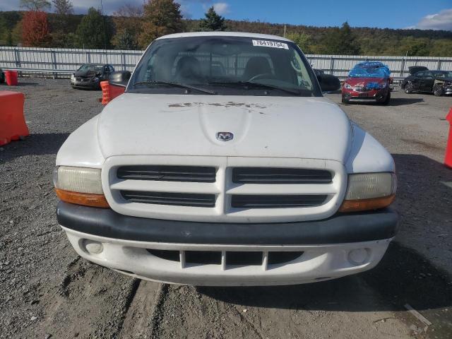 1B7GL22X21S162973 - 2001 DODGE DAKOTA WHITE photo 5