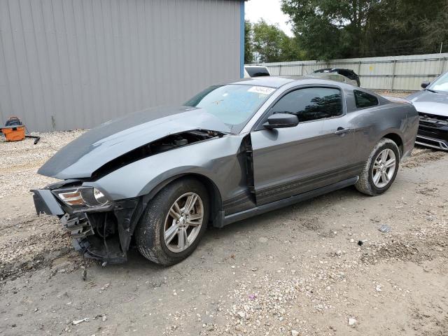 1ZVBP8AM1C5267883 - 2012 FORD MUSTANG GRAY photo 1