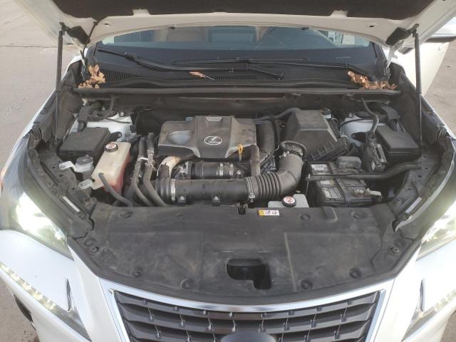 JTJAARBZ2L5018215 - 2020 LEXUS NX 300 BASE თეთრი ფოტო 12