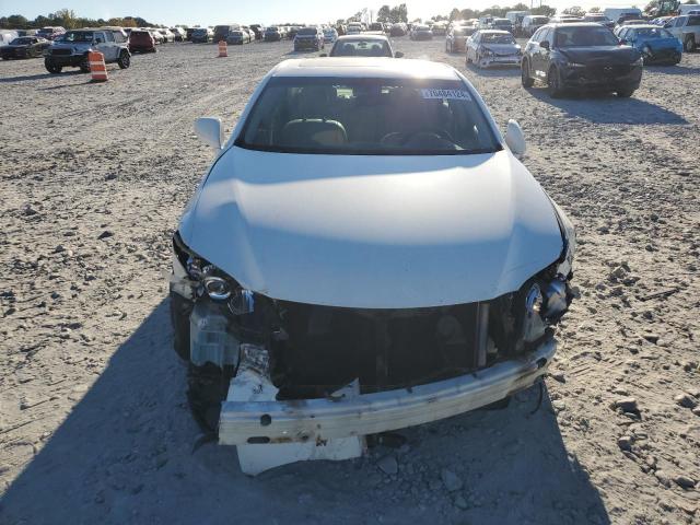 JTHBJ46G872036324 - 2007 LEXUS ES 350 WHITE photo 5