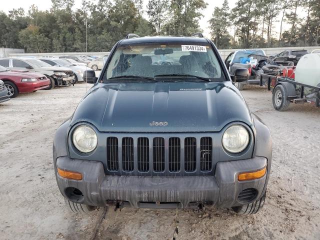 1J4GL48K72W146215 - 2002 JEEP LIBERTY SPORT BLUE photo 5