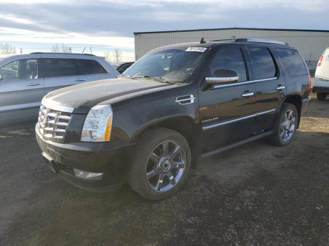 1GYS4CEF7BR345983 - 2011 CADILLAC ESCALADE PREMIUM BLACK photo 1