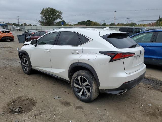 JTJYARBZ2J2088603 - 2018 LEXUS NX 300 BASE Ağ foto 2