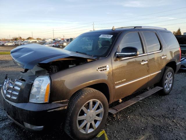 1GYS4CEF4BR254217 - 2011 CADILLAC ESCALADE PREMIUM BLACK photo 1