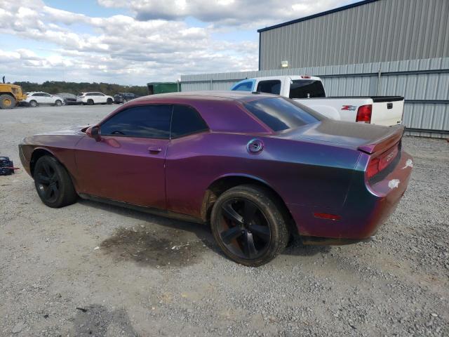 2C3CDYAG1CH213250 - 2012 DODGE CHALLENGER SXT TWO TONE photo 2