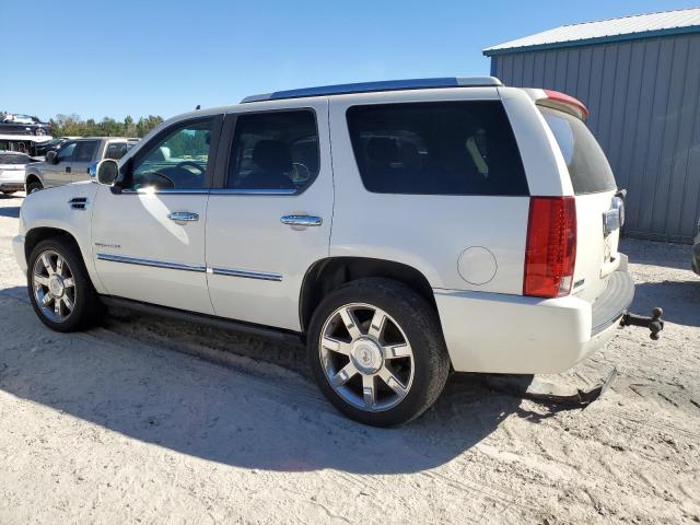 1GYUKCEF4AR245904 - 2010 CADILLAC ESCALADE PREMIUM WHITE photo 2