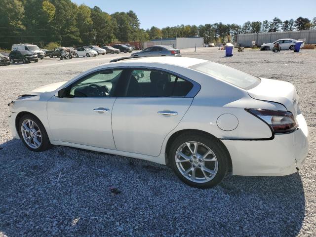 1N4AA5AP5EC448403 - 2014 NISSAN MAXIMA S WHITE photo 2