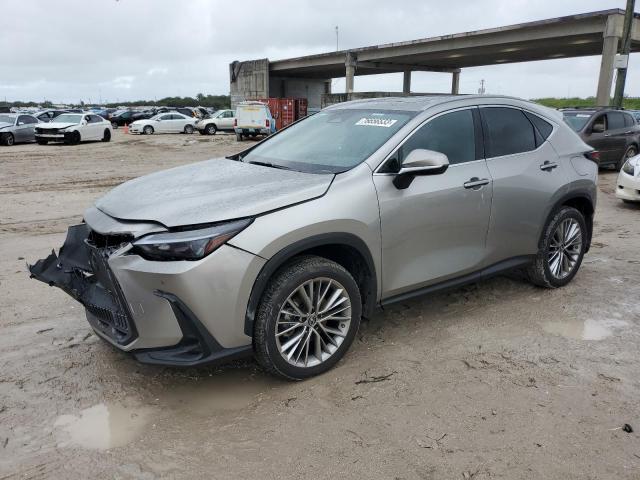 JTJGGCEZ3N5000181 - 2022 LEXUS NX 350 GRAY photo 1