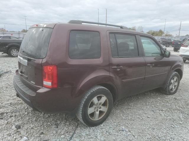 5FNYF4H56BB063231 - 2011 HONDA PILOT EXL BURGUNDY photo 3