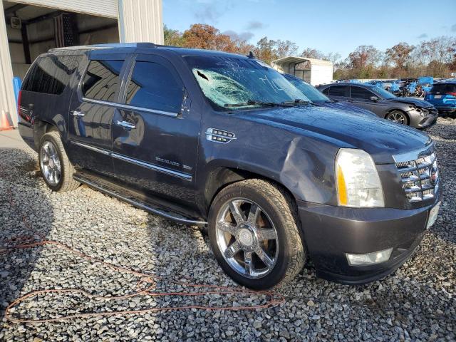 1GYUKHEF5AR159630 - 2010 CADILLAC ESCALADE ESV LUXURY BLACK photo 4