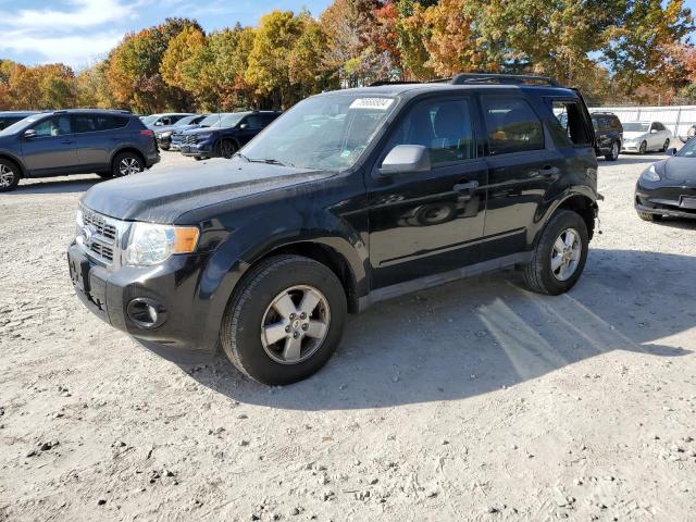 1FMCU0D75AKC83540 - 2010 FORD ESCAPE SE XLT BLACK photo 1