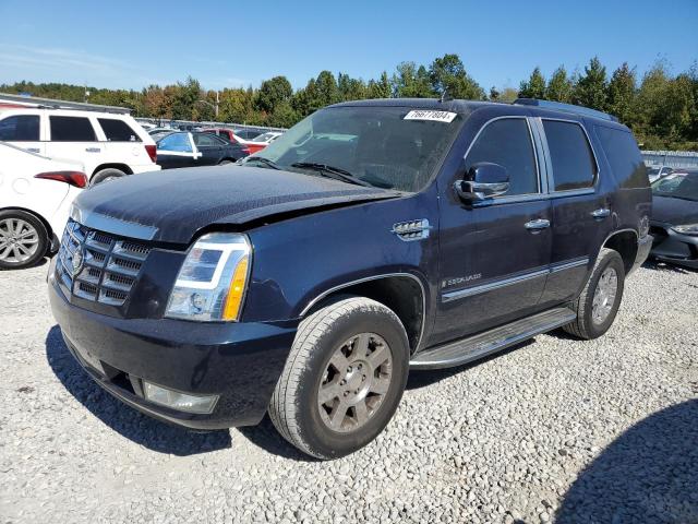 2008 CADILLAC ESCALADE LUXURY, 