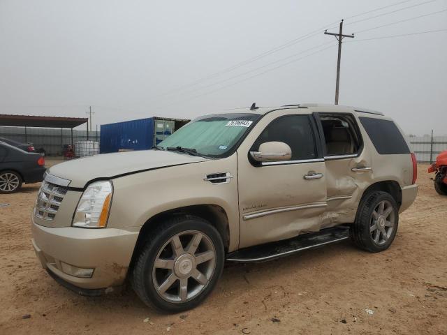 1GYS3BEF8BR104270 - 2011 CADILLAC ESCALADE LUXURY TAN photo 1