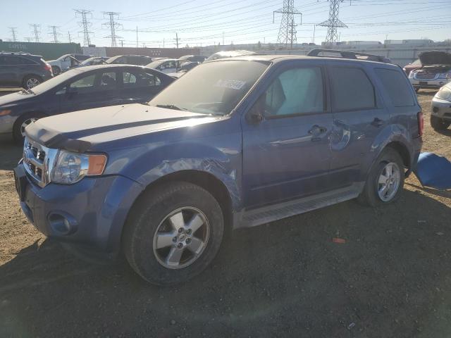 2010 FORD ESCAPE XLT, 