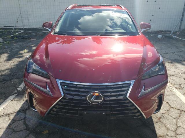 JTJYARBZ6K2154863 - 2019 LEXUS NX 300 BASE 红色 照片 5