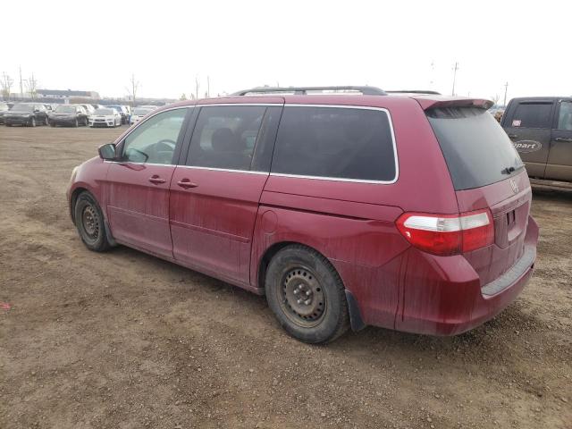 5FNRL38495B511304 - 2005 HONDA ODYSSEY EX RED photo 2