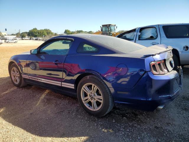 1ZVBP8AM6D5273809 - 2013 FORD MUSTANG BLUE photo 2