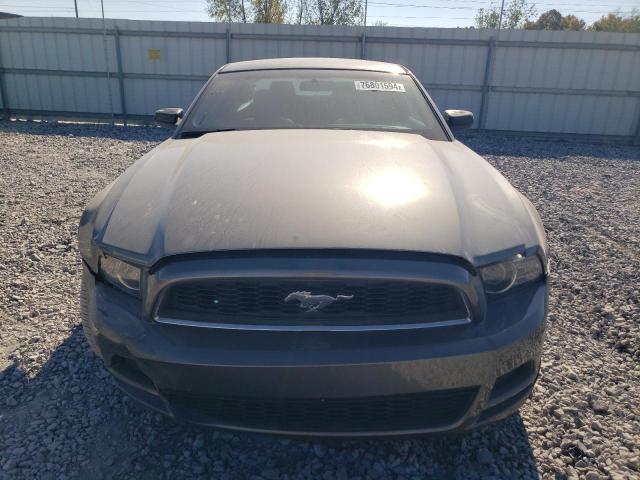 1ZVBP8AM1E5261603 - 2014 FORD MUSTANG GRAY photo 5