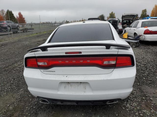 2C3CDXHG7EH227494 - 2014 DODGE CHARGER SXT WHITE photo 6