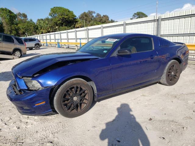 1ZVBP8AM1E5325347 - 2014 FORD MUSTANG BLUE photo 1