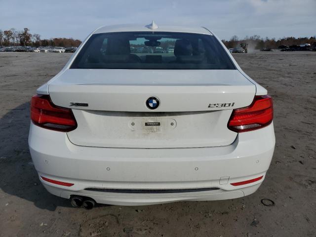 WBA2J3C53KVD49058 - 2019 BMW 230XI WHITE photo 6