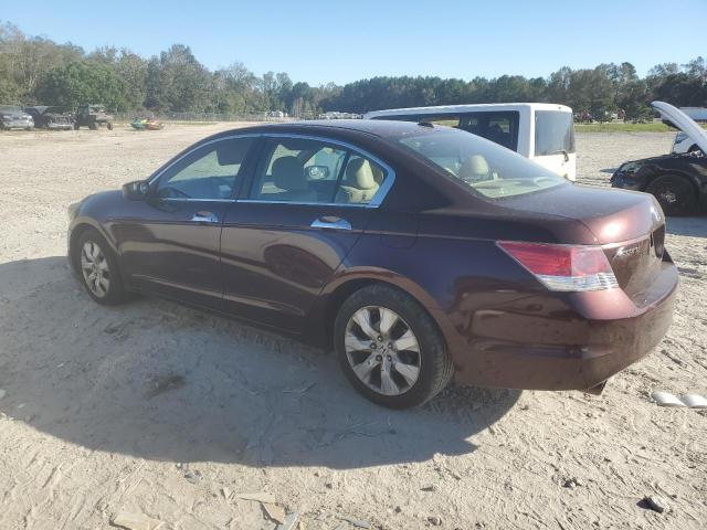 5KBCP3F83AB010646 - 2010 HONDA ACCORD EXL MAROON photo 2