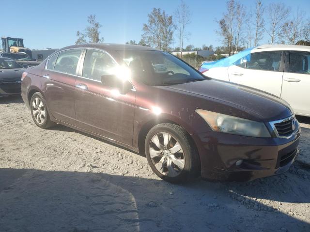 5KBCP3F83AB010646 - 2010 HONDA ACCORD EXL MAROON photo 4