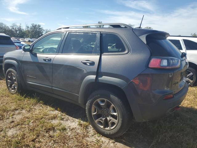1C4PJMBX6KD401691 - 2019 JEEP CHEROKEE TRAILHAWK GRAY photo 2