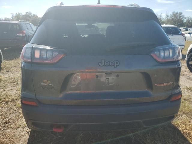 1C4PJMBX6KD401691 - 2019 JEEP CHEROKEE TRAILHAWK GRAY photo 6