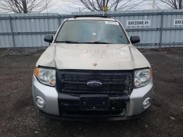 1FMCU0D7XBKA57981 - 2011 FORD ESCAPE XLT BEIGE photo 5