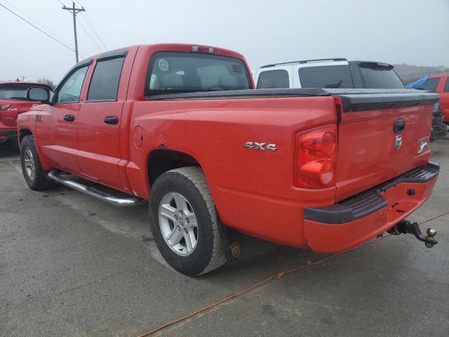 1D7RW3GK6BS670471 - 2011 DODGE DAKOTA SLT RED photo 2