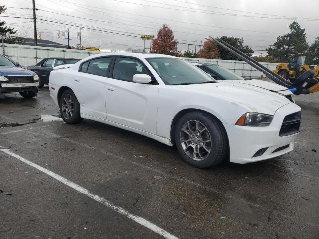 2C3CDXKT3EH360551 - 2014 DODGE CHARGER POLICE WHITE photo 4