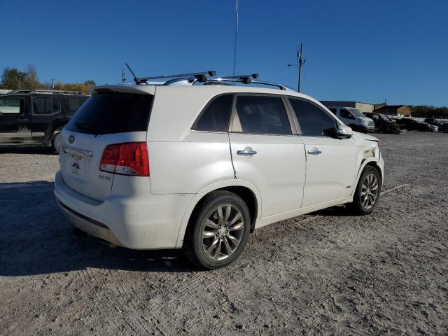 5XYKWDA2XBG135224 - 2011 KIA SORENTO SX WHITE photo 3