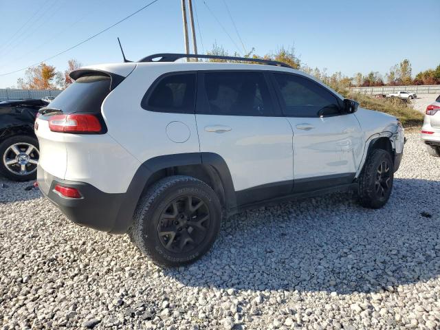 1C4PJMBS3HW510708 - 2017 JEEP CHEROKEE TRAILHAWK Ağ foto 3