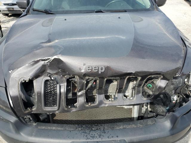 1C4PJMBX0JD551262 - 2018 JEEP CHEROKEE TRAILHAWK Grafit foto 11