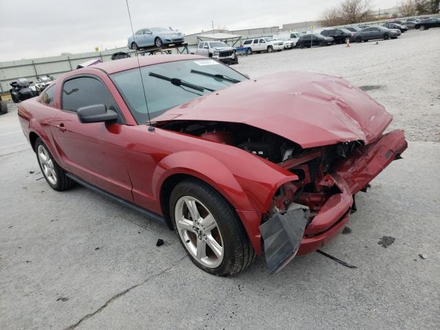 1ZVHT80N385106667 - 2008 FORD MUSTANG RED photo 4