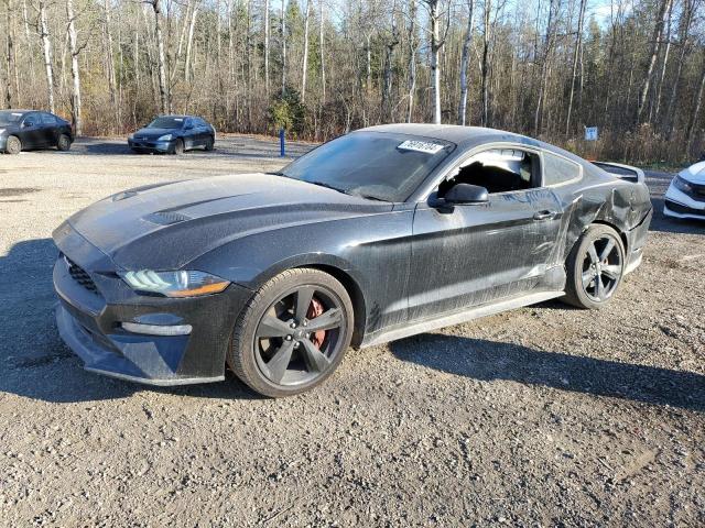 2019 FORD MUSTANG, 