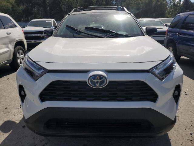 2T3UWRFV6RW236393 - 2024 TOYOTA RAV4 WOODLAND EDITION WHITE photo 5