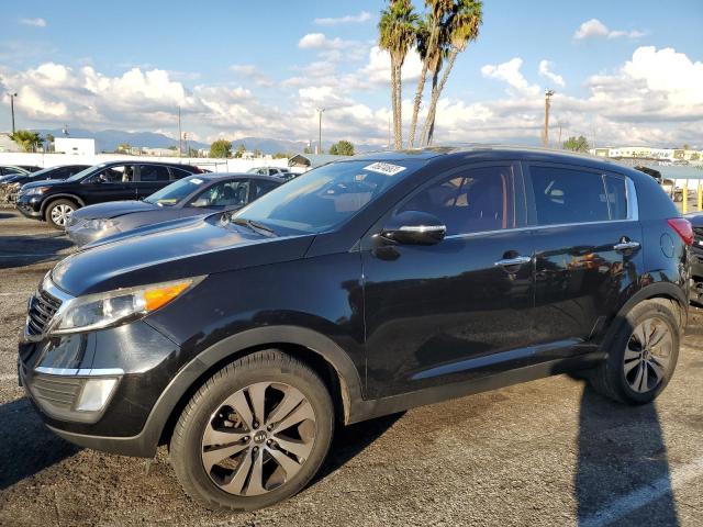 KNDPC3A28D7406001 - 2013 KIA SPORTAGE EX BLACK photo 1