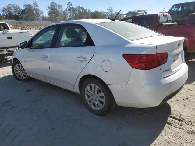 KNAFU4A21B5349936 - 2011 KIA FORTE EX WHITE photo 2