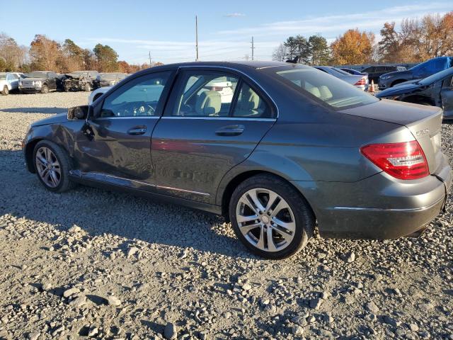 WDDGF4HB9CR215411 - 2012 MERCEDES-BENZ C 250 GRAY photo 2