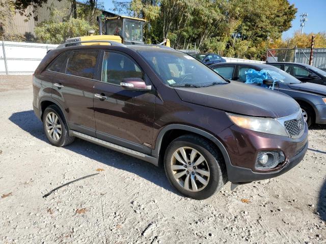 5XYKUDA2XBG182324 - 2011 KIA SORENTO EX BURGUNDY photo 4