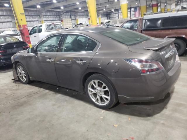 1N4AA5AP5EC446733 - 2014 NISSAN MAXIMA S BROWN photo 2