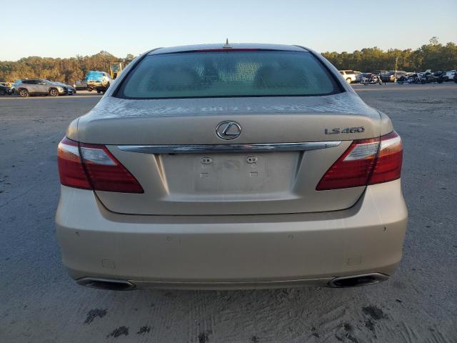 JTHBL5EF3B5101872 - 2011 LEXUS LS 460 BEIGE photo 6