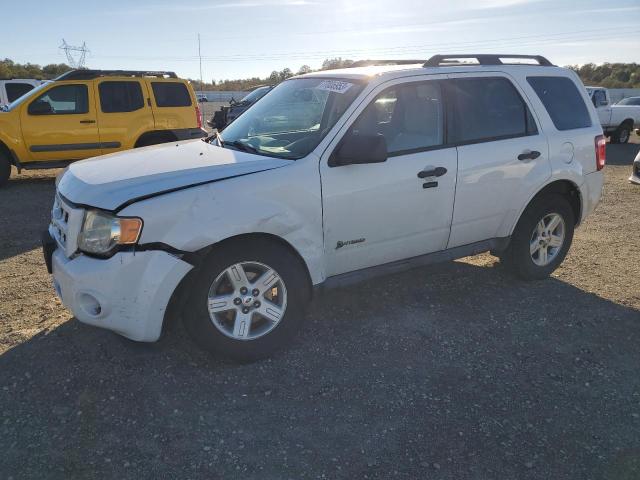 1FMCU5K31AKD08253 - 2010 FORD ESCAPE HYBRID WHITE photo 1