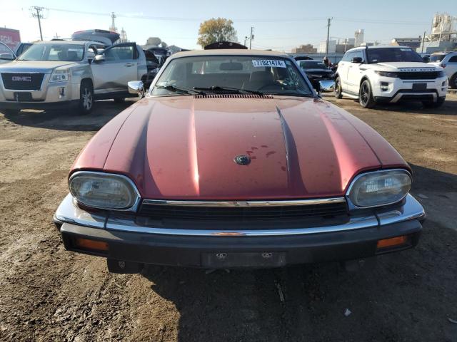 SAJNW4745PC186021 - 1993 JAGUAR XJS RED photo 5